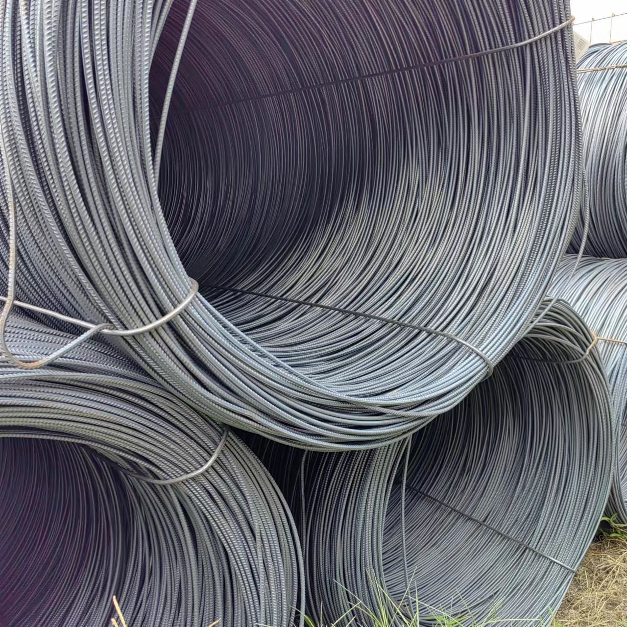 photobank 6 photobank 6